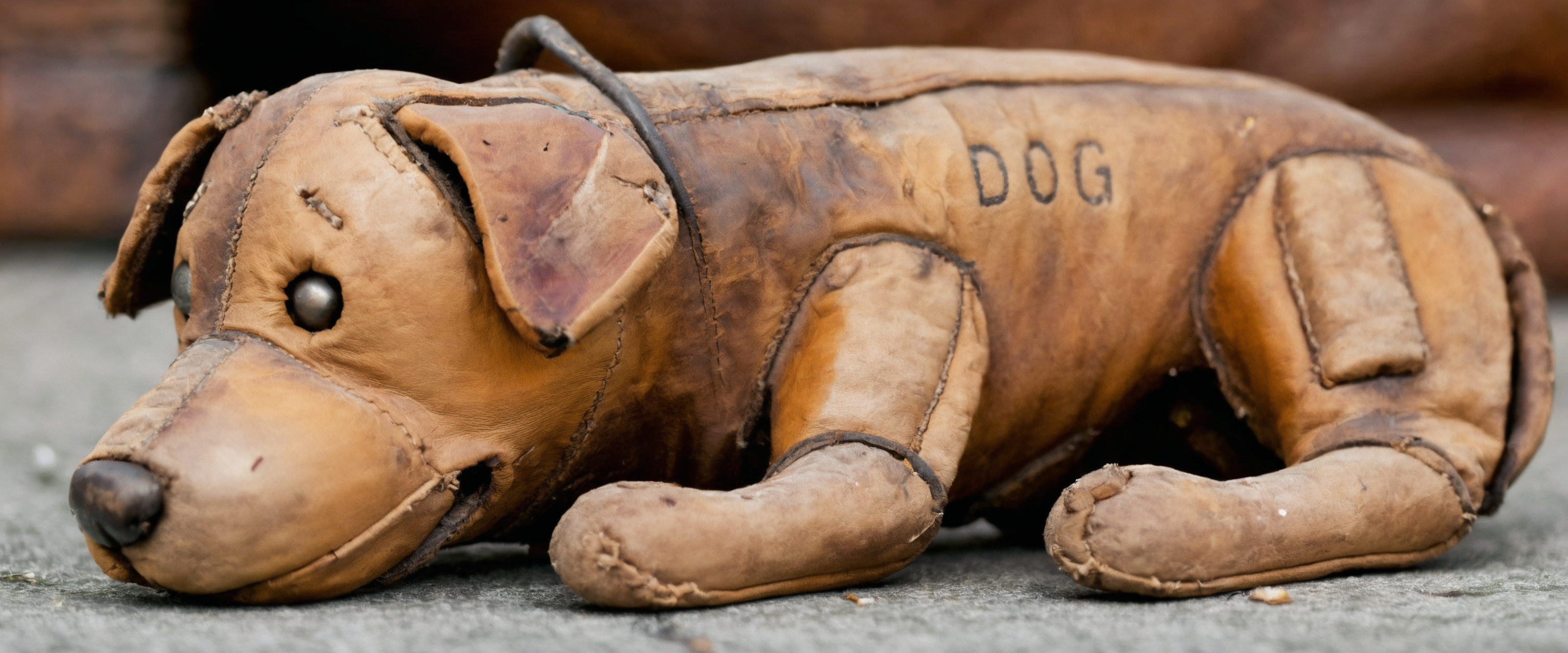 a used leather dog